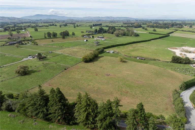 Photo of property in 59 Parallel Road, Cambridge, 3495