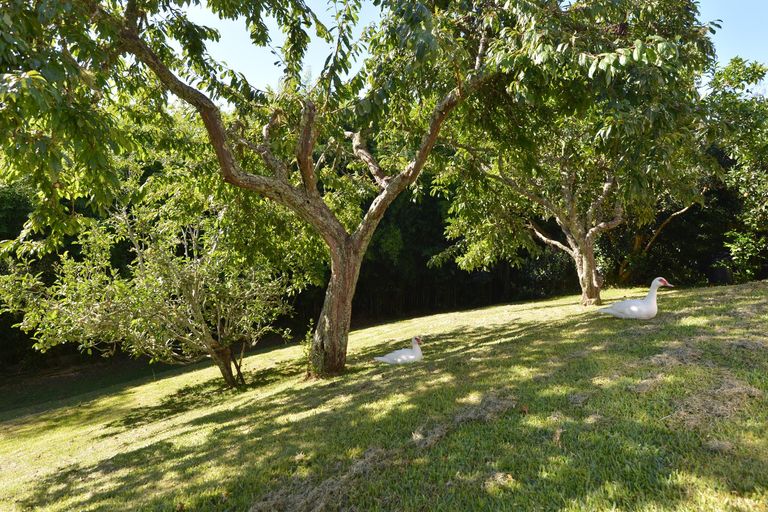 Photo of property in 43 Ogle Crescent, Te Kamo, Whangarei, 0112