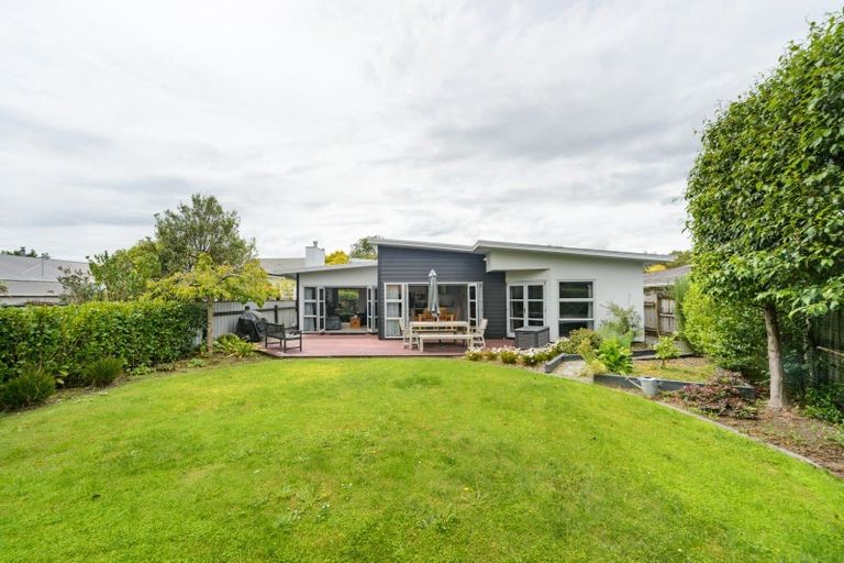 Photo of property in 19 Karina Terrace, Roslyn, Palmerston North, 4414