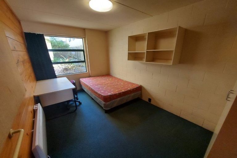 Photo of property in Te Awhina Apartments, 19/22u Sussex Street, Mount Cook, Wellington, 6021