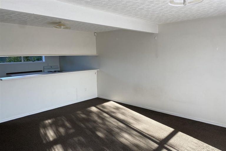 Photo of property in 2/14 Frederick Street, Waltham, Christchurch, 8011