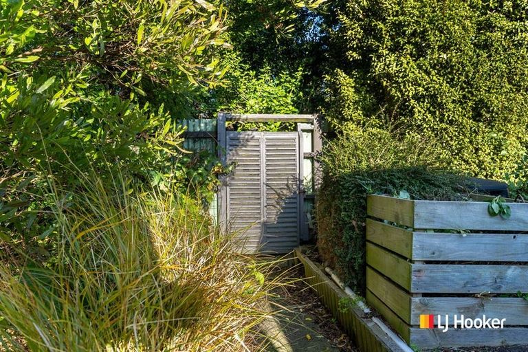 Photo of property in 17 Viscount Road, Waldronville, Dunedin, 9018