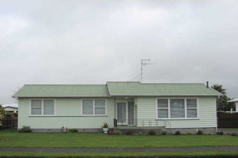 Photo of property in 39 Featherston Street, Levin, 5510