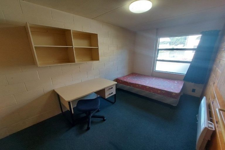 Photo of property in Te Awhina Apartments, 19/22u Sussex Street, Mount Cook, Wellington, 6021