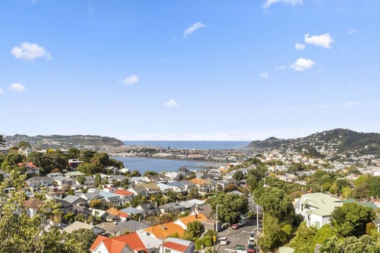 Photo of property in 10 Rakau Road, Hataitai, Wellington, 6021