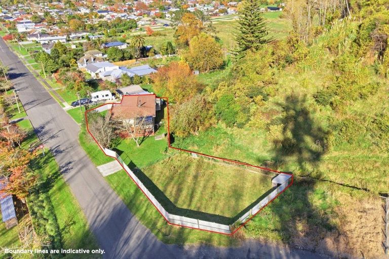 Photo of property in 65 Roberts Avenue, Aramoho, Whanganui, 4500