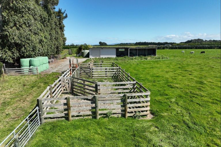 Photo of property in 693 Ryal Bush Wallacetown Road, Wallacetown, 9874