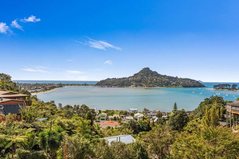 Photo of property in 82 Gallagher Drive, Tairua, 3508