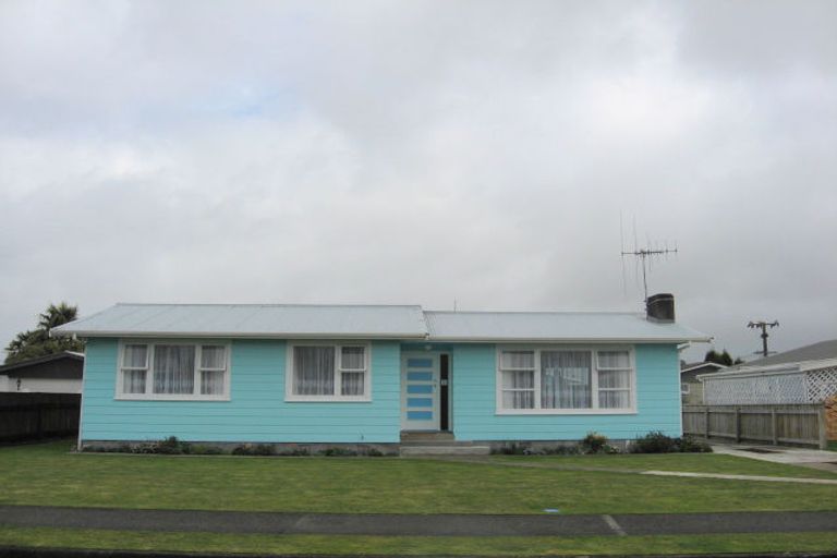 Photo of property in 43 Featherston Street, Levin, 5510