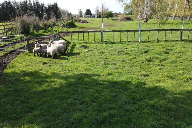 Photo of property in 355 Victoria Road, Pukemoremore, Cambridge, 3493