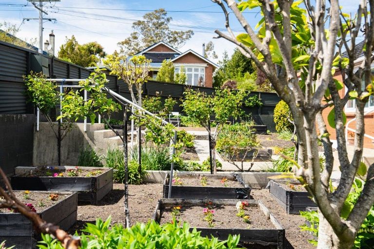 Photo of property in 16 Farquharson Street, Opoho, Dunedin, 9010