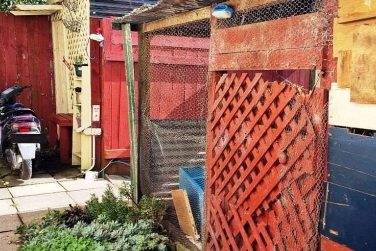 Photo of property in 43 Norton Street, Te Kopuru, 0391