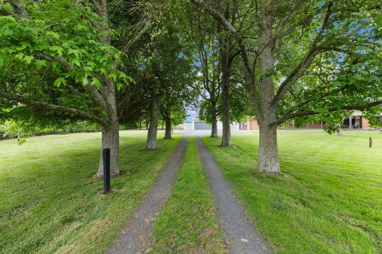 Photo of property in 333 Forkert Road, Ohaupo, 3882