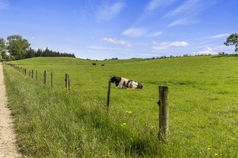 Photo of property in 266 Rangiora Leithfield Road, Sefton, 7477