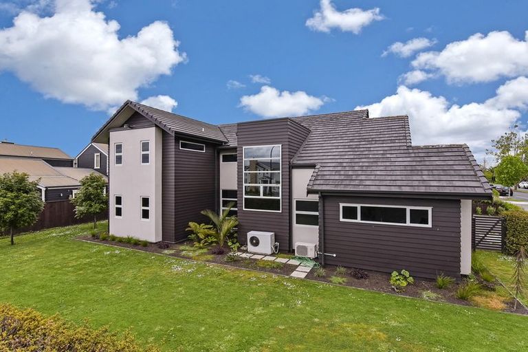 Photo of property in 17 Hinau Street, New Lynn, Auckland, 0600