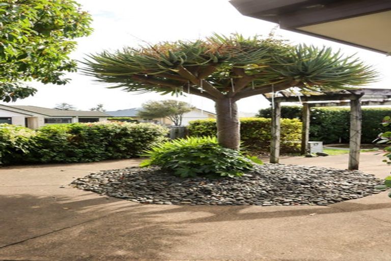 Photo of property in 14b Rosberg Place, Mount Maunganui, 3116