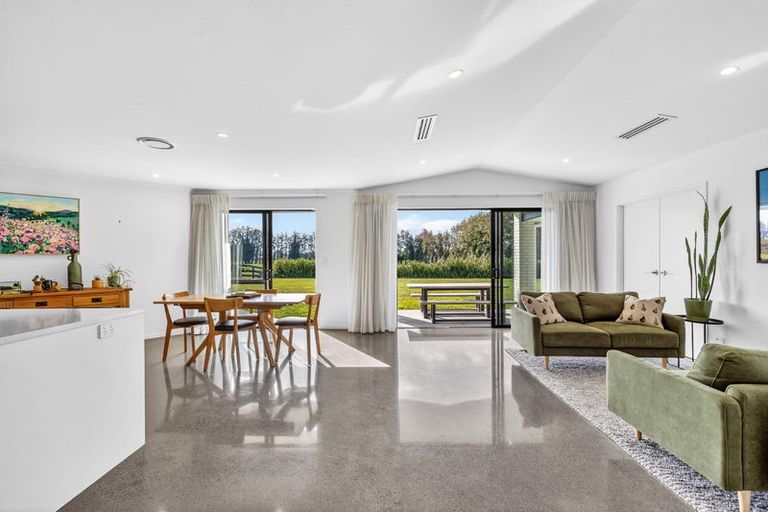 Photo of property in 34 Aranui Road, Matamata, 3472