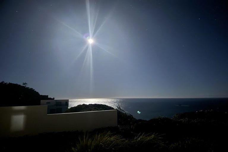 Photo of property in 25 Highgrove, Saint Clair, Dunedin, 9012