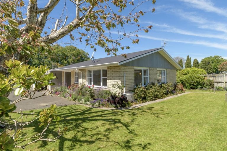 Photo of property in 48 Seventeenth Avenue, Tauranga South, Tauranga, 3112