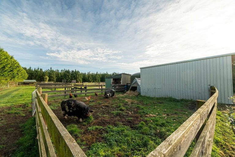 Photo of property in 237 Depot Road, Burnt Hill, Oxford, 7495