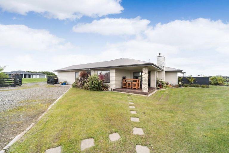 Photo of property in 49 Wapiti Avenue, Feilding, 4775