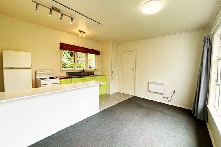 Photo of property in 51 Mortimer Terrace, Brooklyn, Wellington, 6021