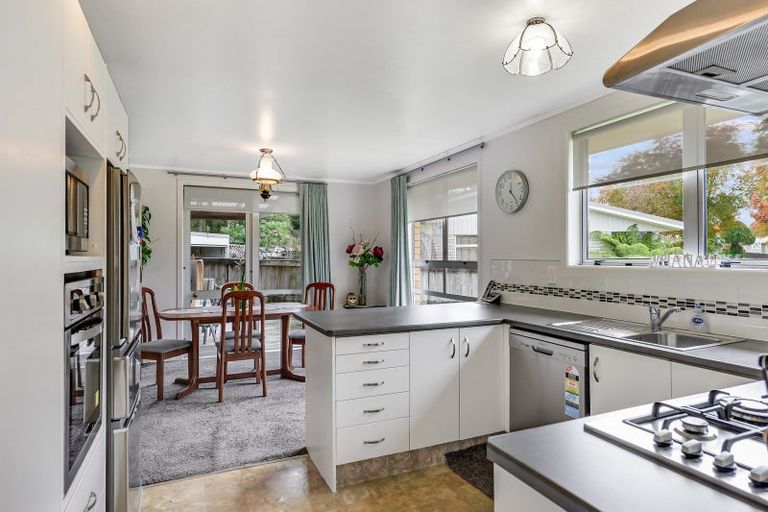 Photo of property in 5 Chamberlain Place, Chartwell, Hamilton, 3210