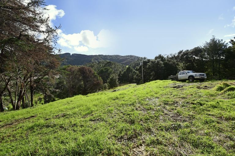 Photo of property in 99 Birdsall Road, Whangateau, 0985