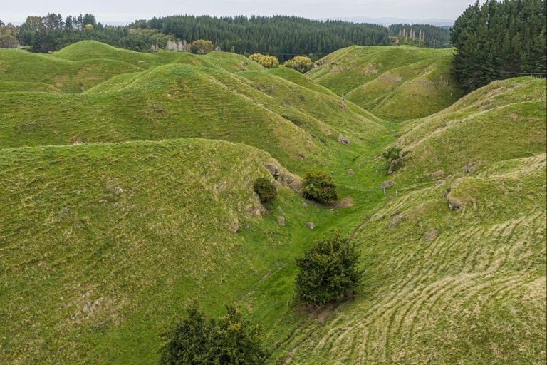 Photo of property in 81 Kaiwaka Road, Tangoio, Napier, 4181