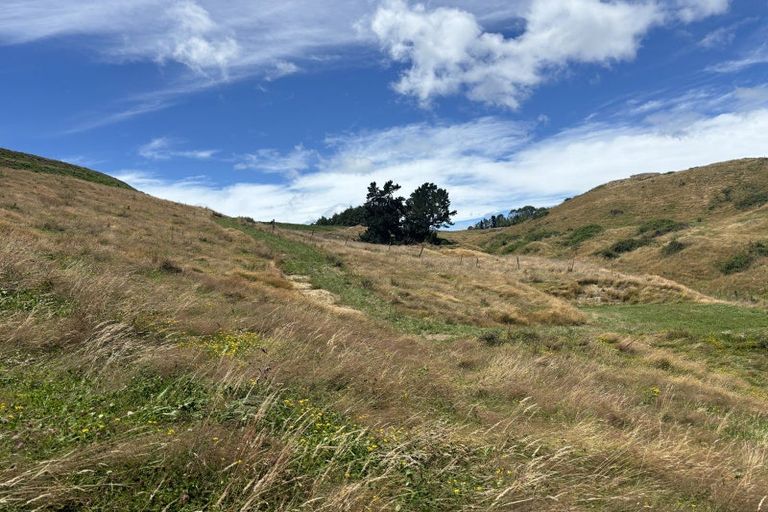 Photo of property in 557 Palmer Mill Road, Wairakei, Taupo, 3384