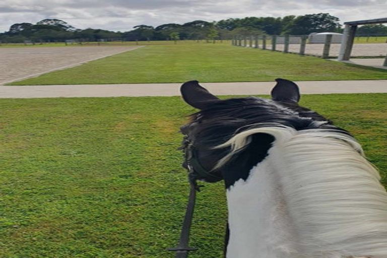 Photo of property in 242 Maraetai Rd - State Highway State Highway, Tokoroa, 3491