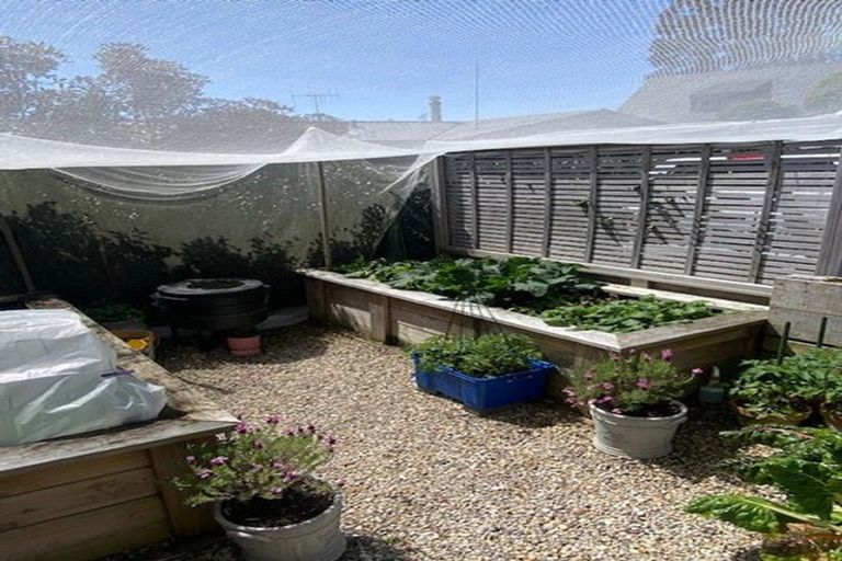 Photo of property in 22 Linklater Avenue, Bellevue, Tauranga, 3110