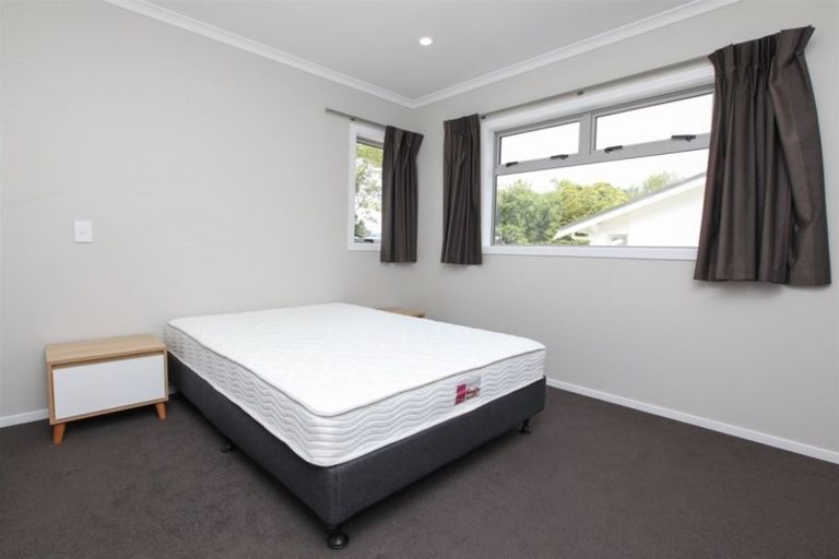 Photo of property in 16u7 Hammond Street, Hamilton Central, Hamilton, 3204