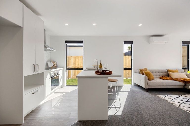 Photo of property in 155u3 Rimu Street, Maeroa, Hamilton, 3200