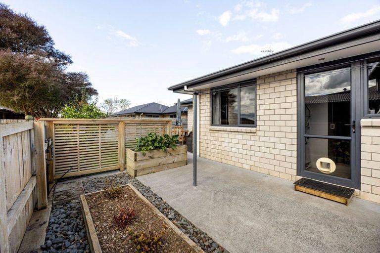 Photo of property in 51 Shrule Place, Huntington, Hamilton, 3210