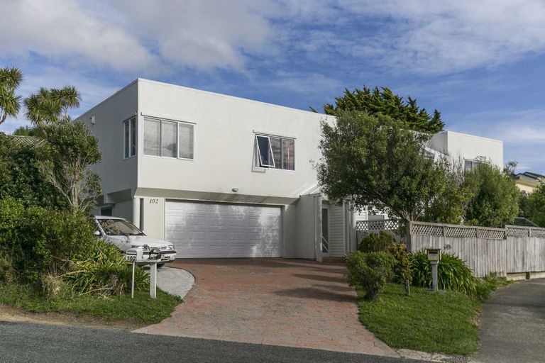 Photo of property in 102a Karepa Street, Brooklyn, Wellington, 6021