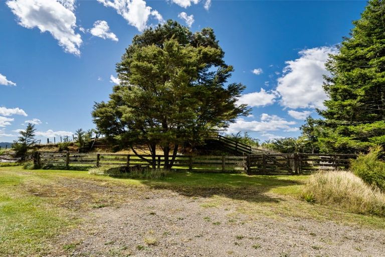 Photo of property in 424a Hot Springs Road, Tahawai, Katikati, 3178