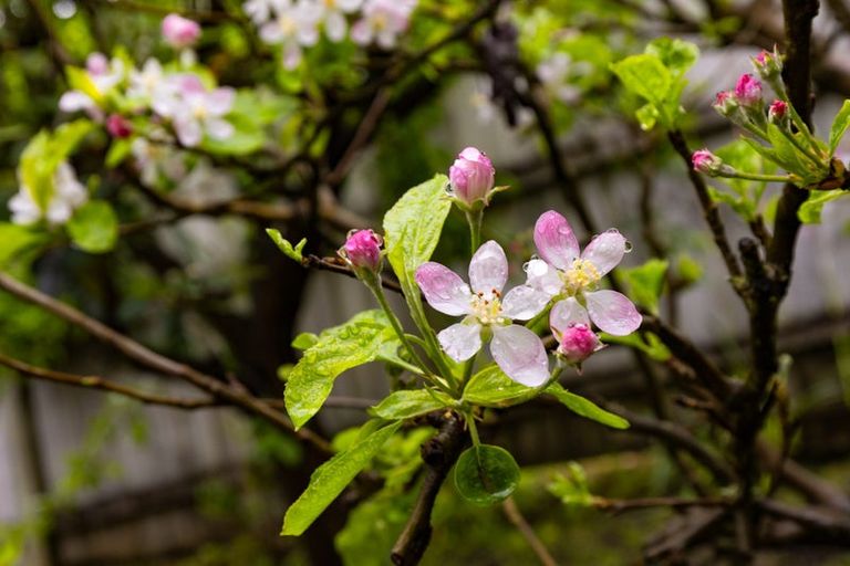 Photo of property in 6 Estuary Close, Warkworth, 0910