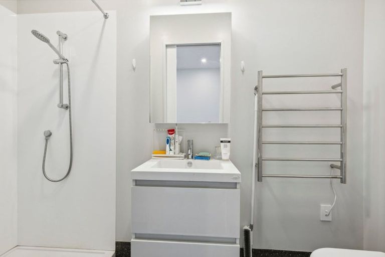 Photo of property in Aniva Terrace, 12 Arney Street, Newtown, Wellington, 6021