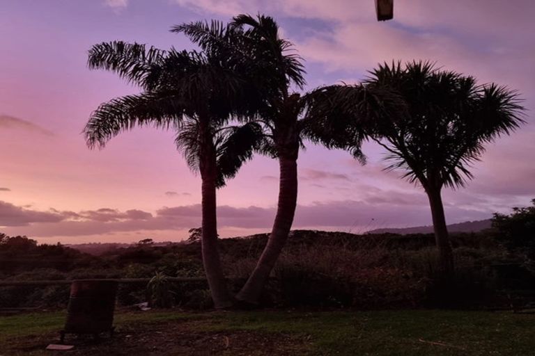 Photo of property in 33 Barrett Road, Whakamarama, Tauranga, 3180