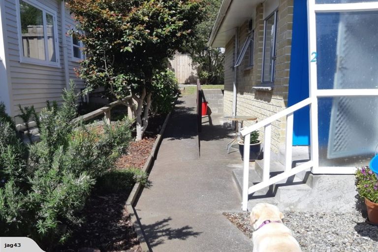 Photo of property in 56f2 Ira Street, Miramar, Wellington, 6022