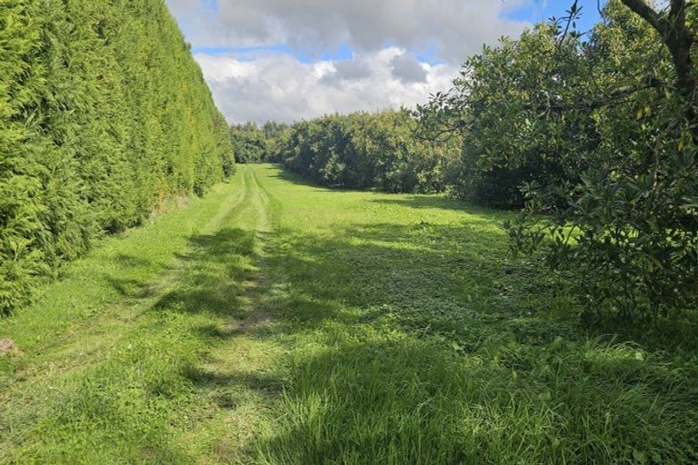 Photo of property in 559b Belk Road, Omanawa, Tauranga, 3171