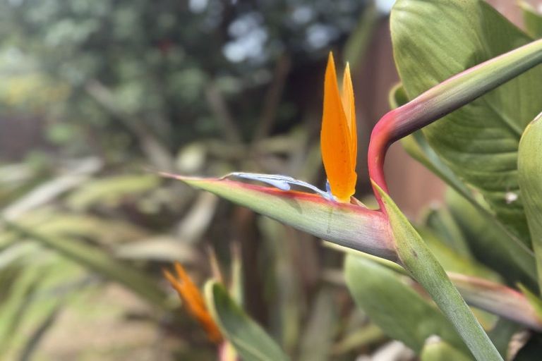 Photo of property in 8 The Avenue, Otaki Beach, Otaki, 5512