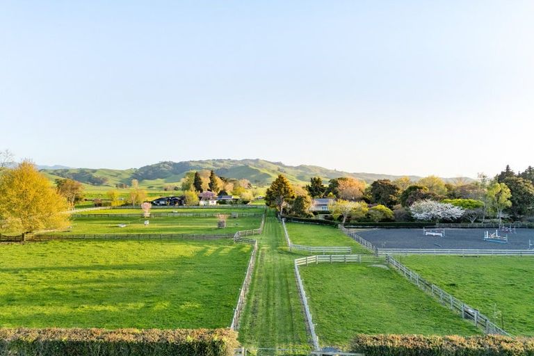 Photo of property in 365 Maungatautari Road, Cambridge, 3494