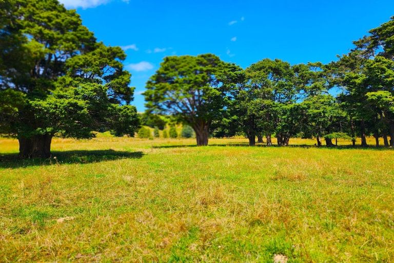 Photo of property in 137 Opouteke Road, Kaihu, Dargaville, 0379