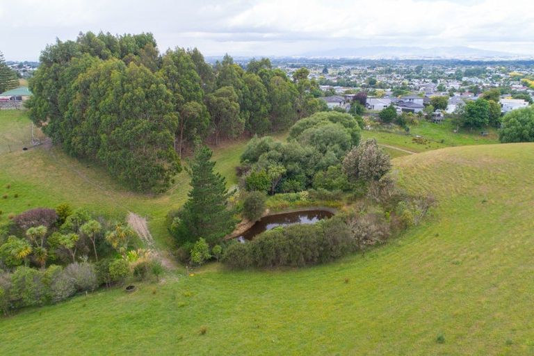 Photo of property in 22 Halcombe Road, Feilding, 4702