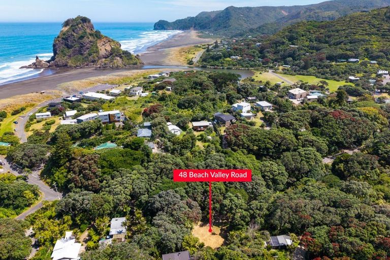 Photo of property in 48 Beach Valley Road, Piha, 0772