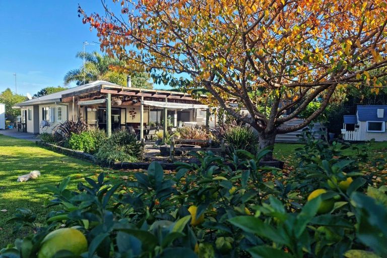 Photo of property in 159c Brown Road, Te Puke, 3188