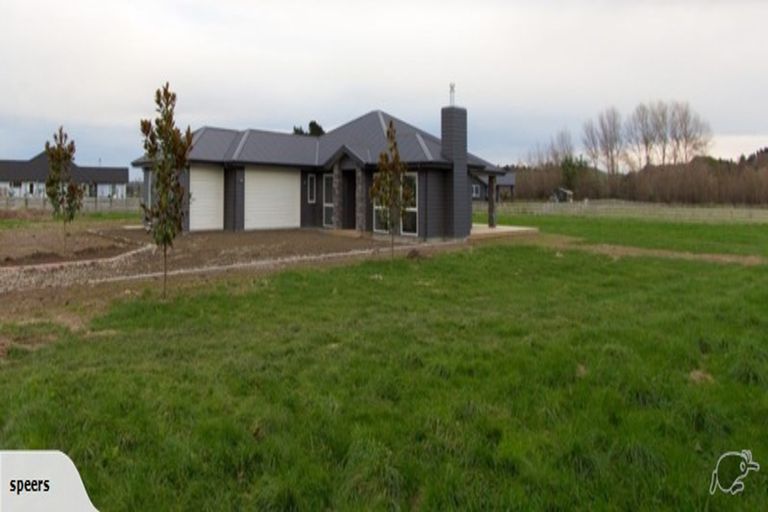 Photo of property in 19 Clare Court, Feilding, 4777