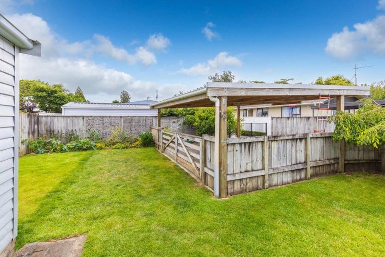 Photo of property in 31 Firth Street, Hamilton East, Hamilton, 3216